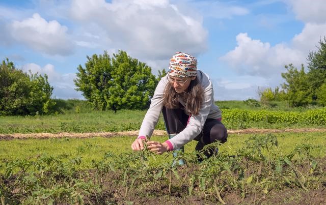 新招！換一個思維做農業，收入也會翻番！