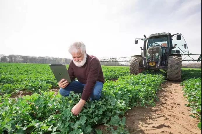 她畢業于復旦大學，卻跑到德國干農業，認為賺錢不是第一位！