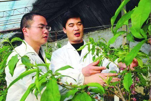 就是不一般！高材生做農業，他的成功用了這4招！