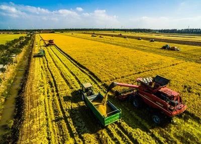 大敗局！揭秘農業創業的血淋淋教訓！