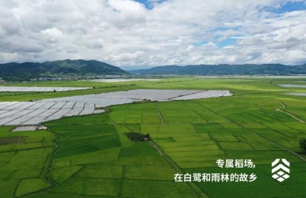 睿谷八分地：為鄉村振興厚植希望