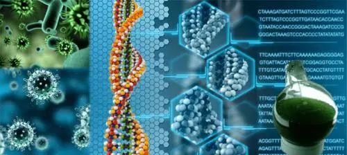 【聚焦新賽道】合成生物學行業深度研究報告