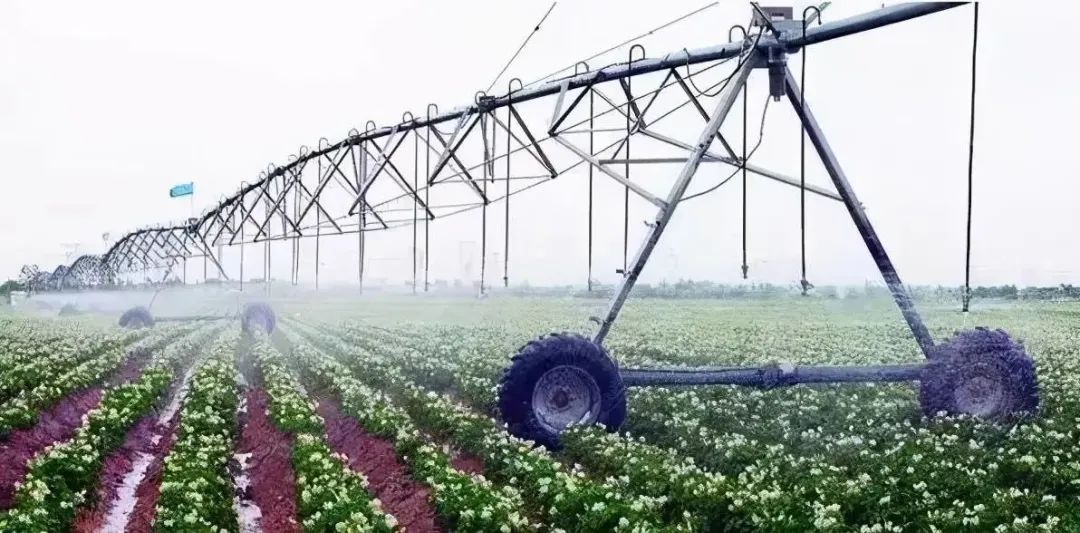 【世界農業案例】聊聊以色列是怎樣發展農業的