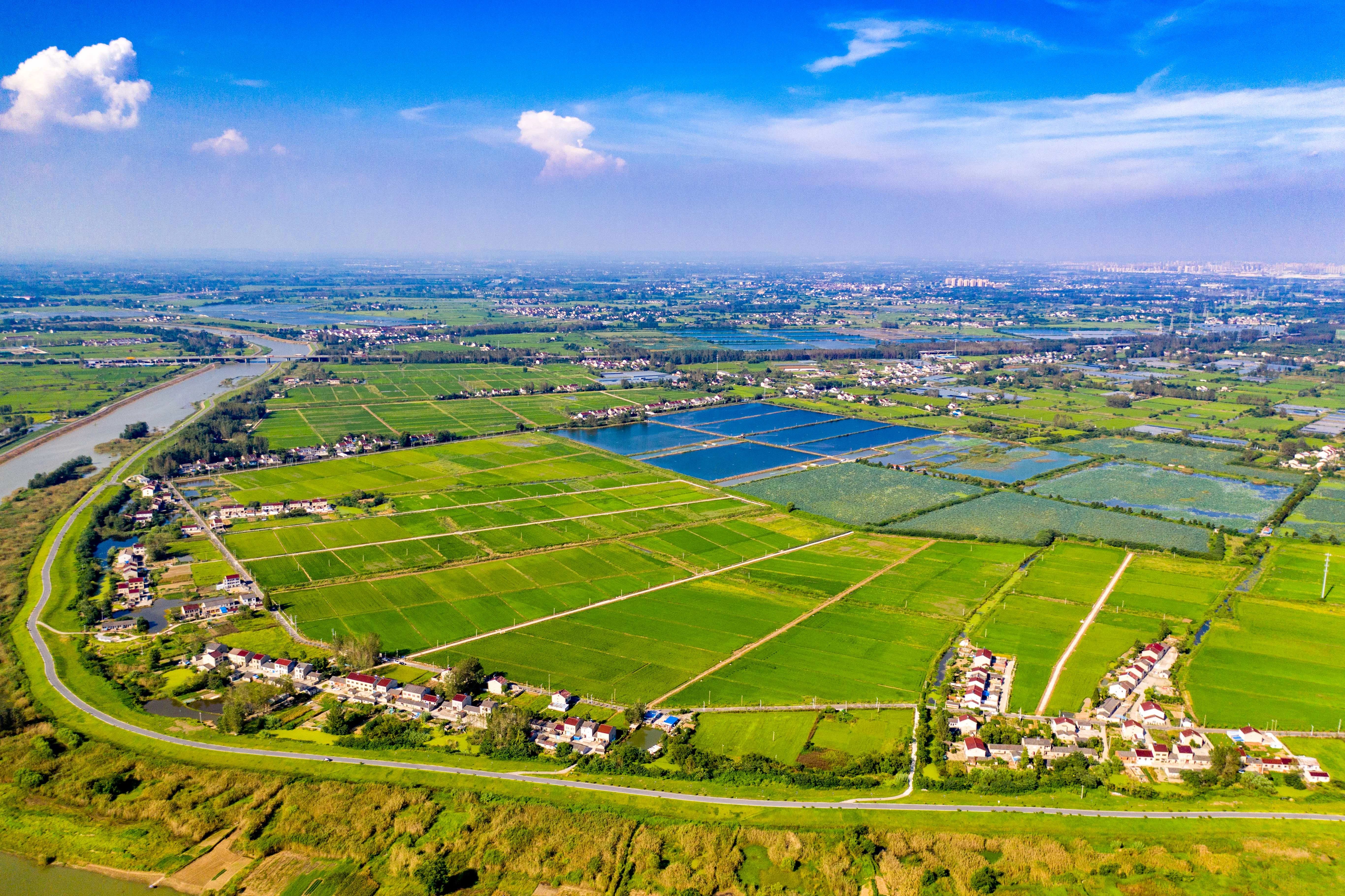 【聚焦高標準農田】全國及省級高標準農田建設規(guī)劃案例推薦