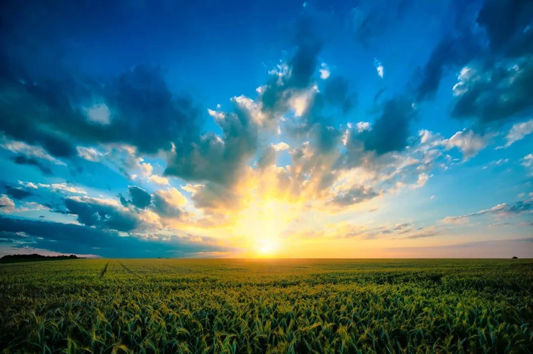 【農業公司案例】建三江這些農業新技術已經走在世界前沿