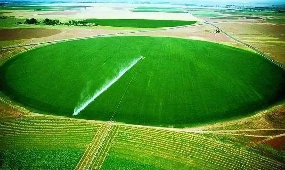 【世界農業案例】以色列農業：沙漠里的農業奇跡