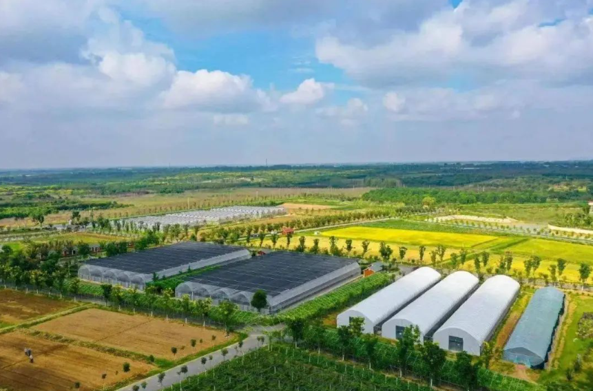 【榜單】2024中國農業企業500強公示