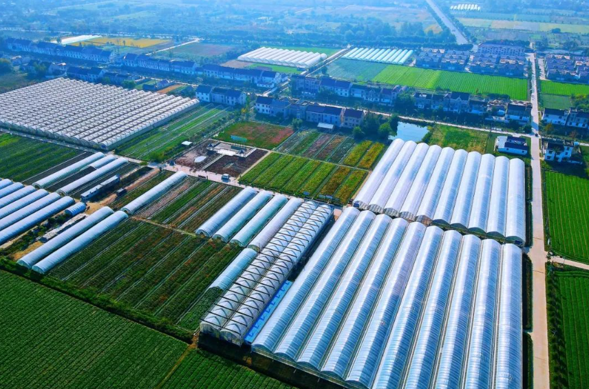 【農業產業園】2025年國家現代農業產業園創建申報指南