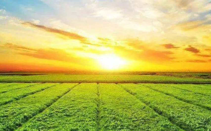 “十五五”農(nóng)業(yè)農(nóng)村領(lǐng)域研究重點(diǎn)及方向