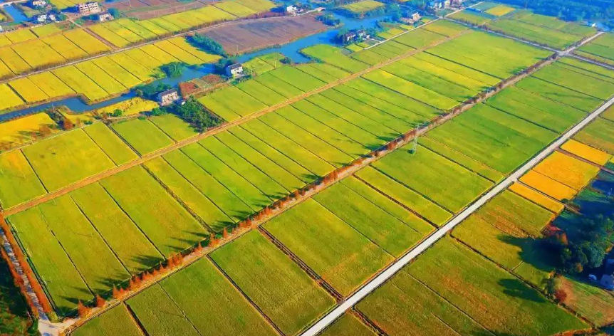 深度研究！高標(biāo)準(zhǔn)農(nóng)田建設(shè)方案設(shè)計及其實(shí)施要點(diǎn)分析