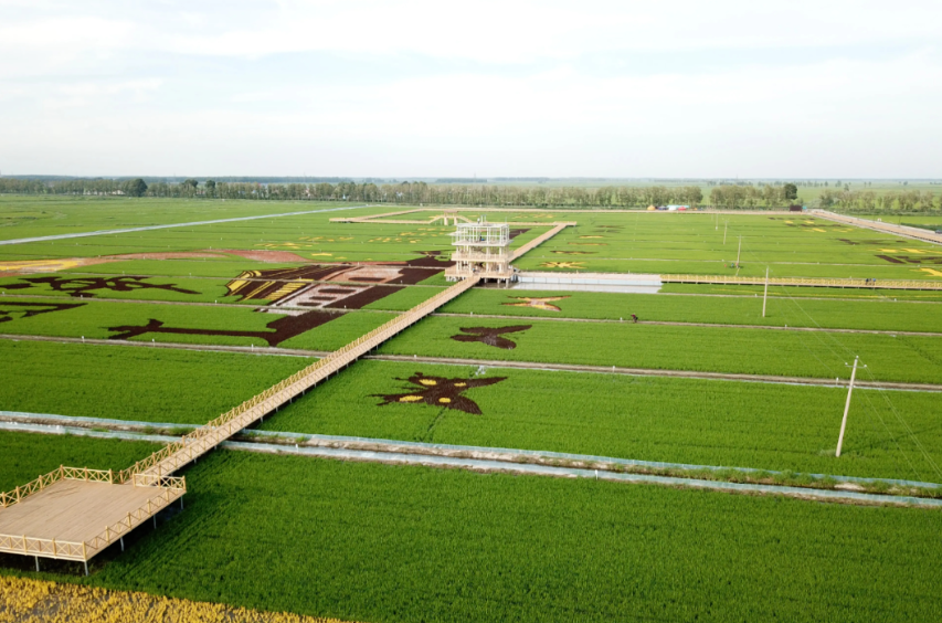 【農(nóng)業(yè)園區(qū)】2025年農(nóng)業(yè)產(chǎn)業(yè)園區(qū)規(guī)劃設(shè)計