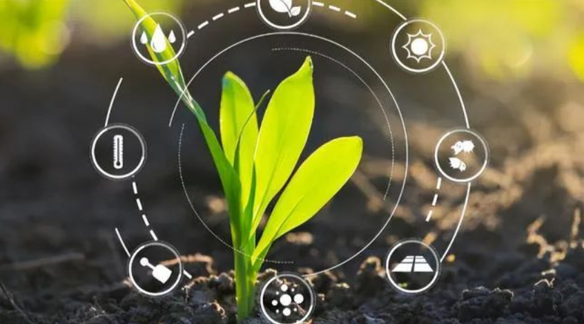 淘汰農(nóng)民？！Deep Seek只會助力中國農(nóng)民躍遷