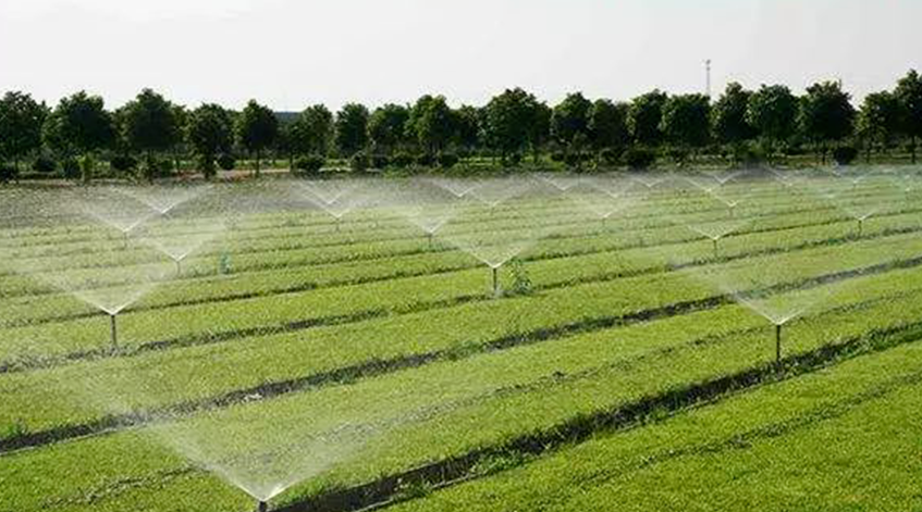 中國農(nóng)業(yè)創(chuàng)新模式：定制農(nóng)業(yè)、共享農(nóng)業(yè)、商業(yè)化農(nóng)業(yè)！