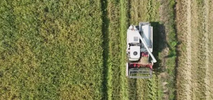 【綠色農業】全國農業綠色發展案例研究