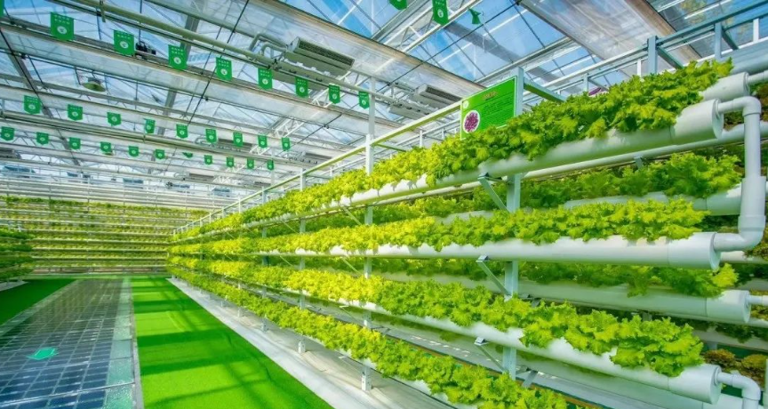 【未來農業】養活百億人口的秘密武器：垂直農業如何破解耕地危機無土栽培應用