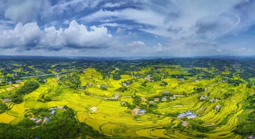 案例研究！全國農業綠色發展案例研究