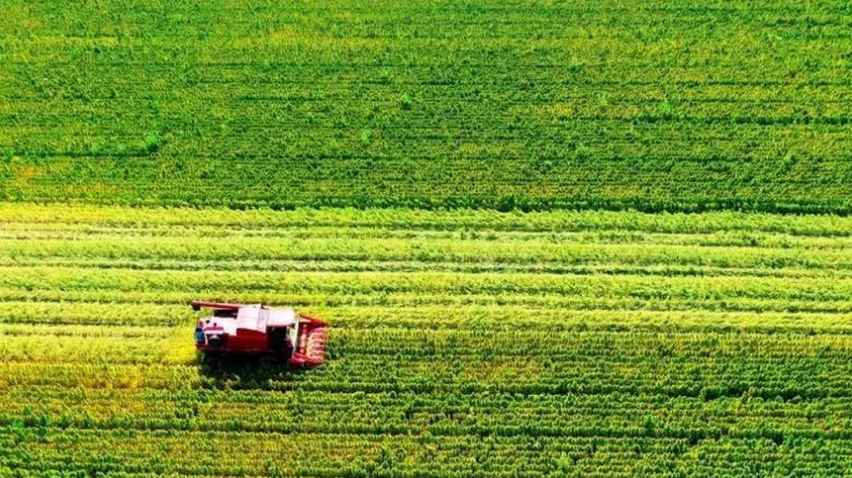 農業投資八大關鍵要素！建議收藏~