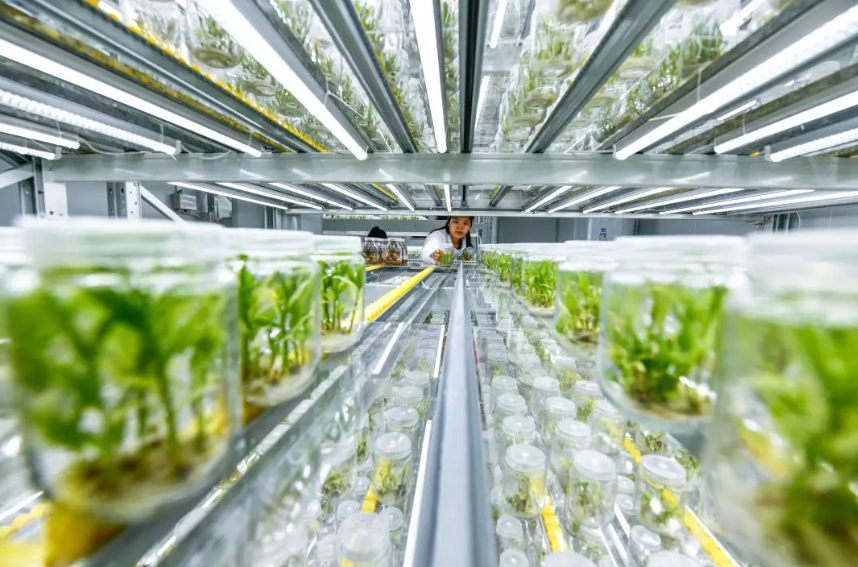 韓俊：錨定建設農業強國目標 加快實現高水平農業科技自立自強