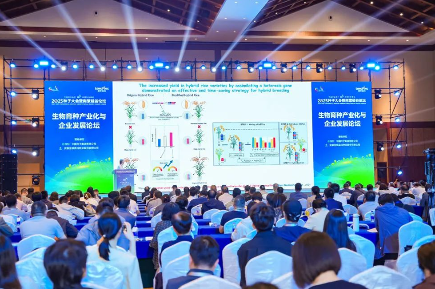 【生物育種】N大關鍵詞！生物育種產業“鏈式發展”