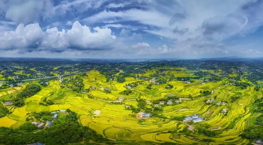 【綠色農業】全國農業綠色發展案例研究