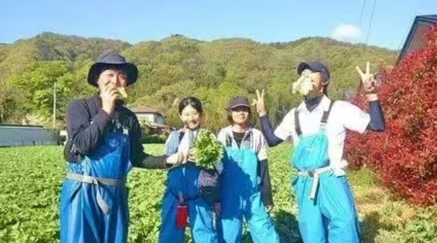 【世界農業案例】日本Teikei模式的生存之道！