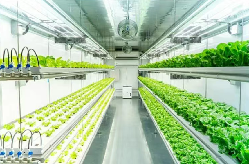 未來農業正當時！植物工廠，引領綠色農業投資新熱潮