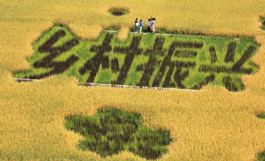 【農業模式】農業十八種新模式，很新穎，非常實用，請看過來