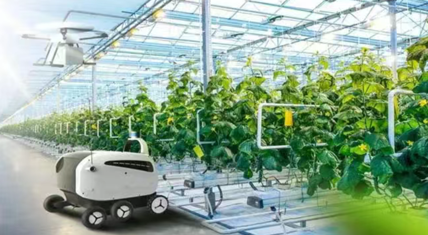 【農(nóng)業(yè)科技】2025年全球農(nóng)業(yè)科技五大趨勢(shì)預(yù)測(cè)