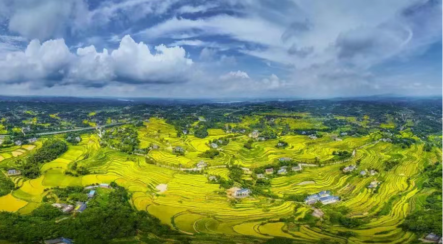 政策青睞！全國農業綠色發展案例研究