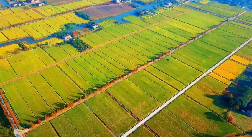 深度研究！高標(biāo)準(zhǔn)農(nóng)田建設(shè)方案設(shè)計(jì)及其實(shí)施要點(diǎn)分析