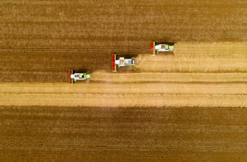 “十五五”縣域農(nóng)業(yè)現(xiàn)代化路線圖：重點(diǎn)任務(wù)與實(shí)施路徑