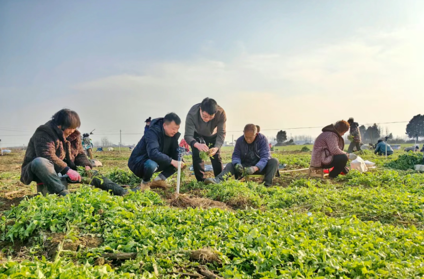理論研究！培育縣域富民產(chǎn)業(yè)的主要路徑