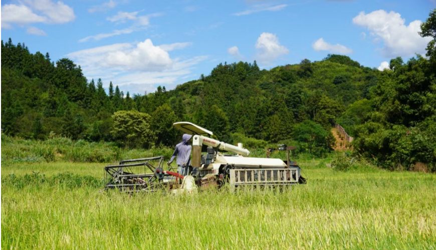 【理論研究】張孝德：第三次農(nóng)業(yè)革命：回歸養(yǎng)命的生態(tài)農(nóng)業(yè)