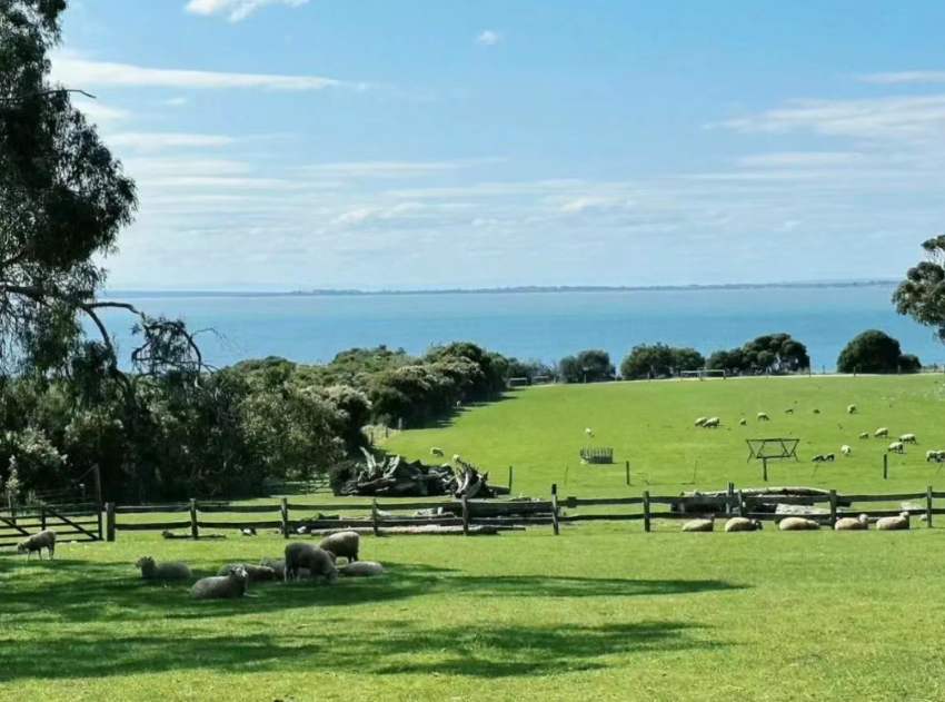 “生態(tài)循環(huán)農(nóng)業(yè)”的發(fā)展重點(diǎn)、模式