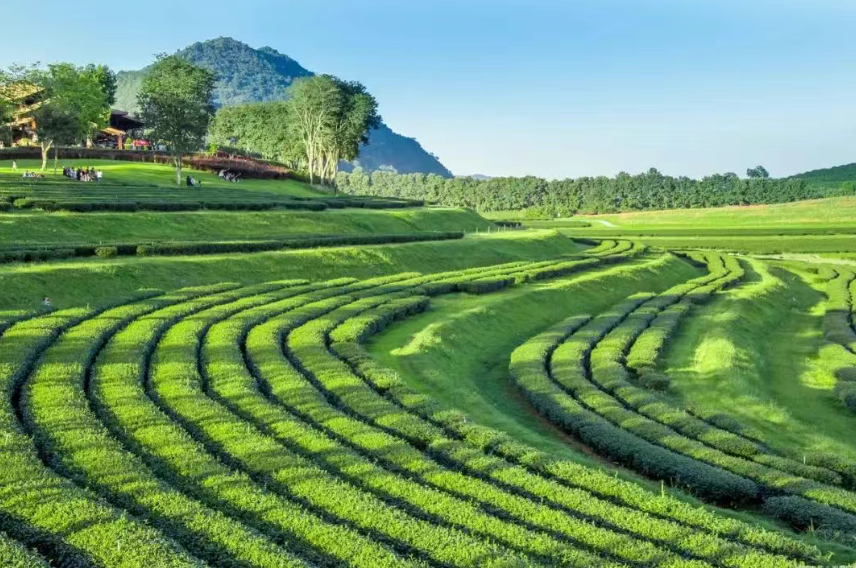 什么是生態(tài)農(nóng)業(yè)？ “生態(tài)循環(huán)農(nóng)業(yè)”經(jīng)典模式有哪些