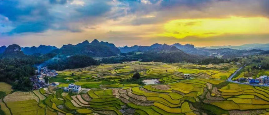 建議收藏！一文講透“農(nóng)村三產(chǎn)融合”