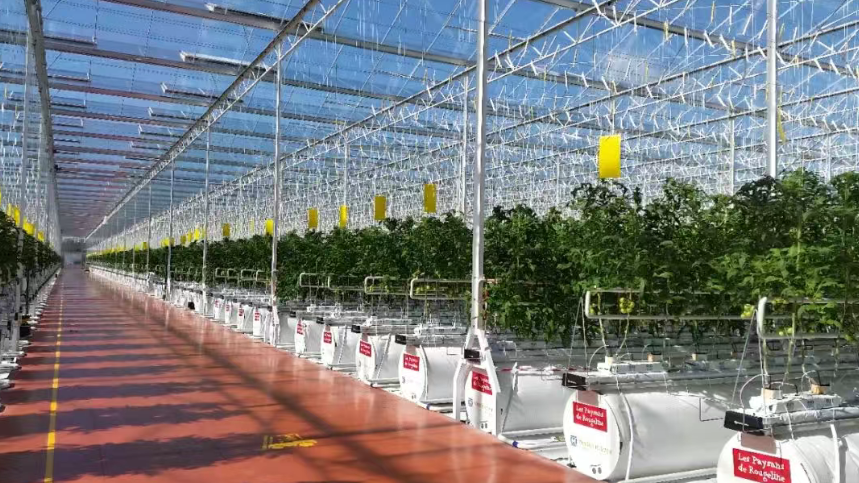 大變革：設施農(nóng)業(yè)的崛起與影響