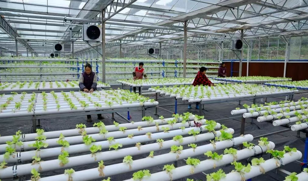 【農業園區】浙江未來現代農業產業園十大案例