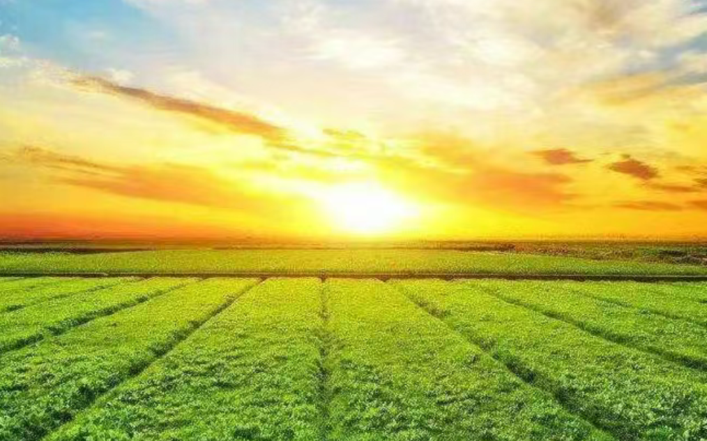 “十五五”規(guī)劃農(nóng)業(yè)農(nóng)村領域研究重點及方向