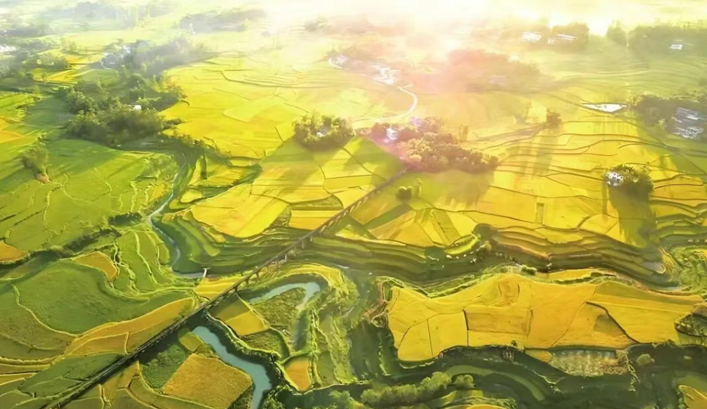 “十五五”規(guī)劃！縣域農(nóng)業(yè)農(nóng)村六大躍升方向全解析