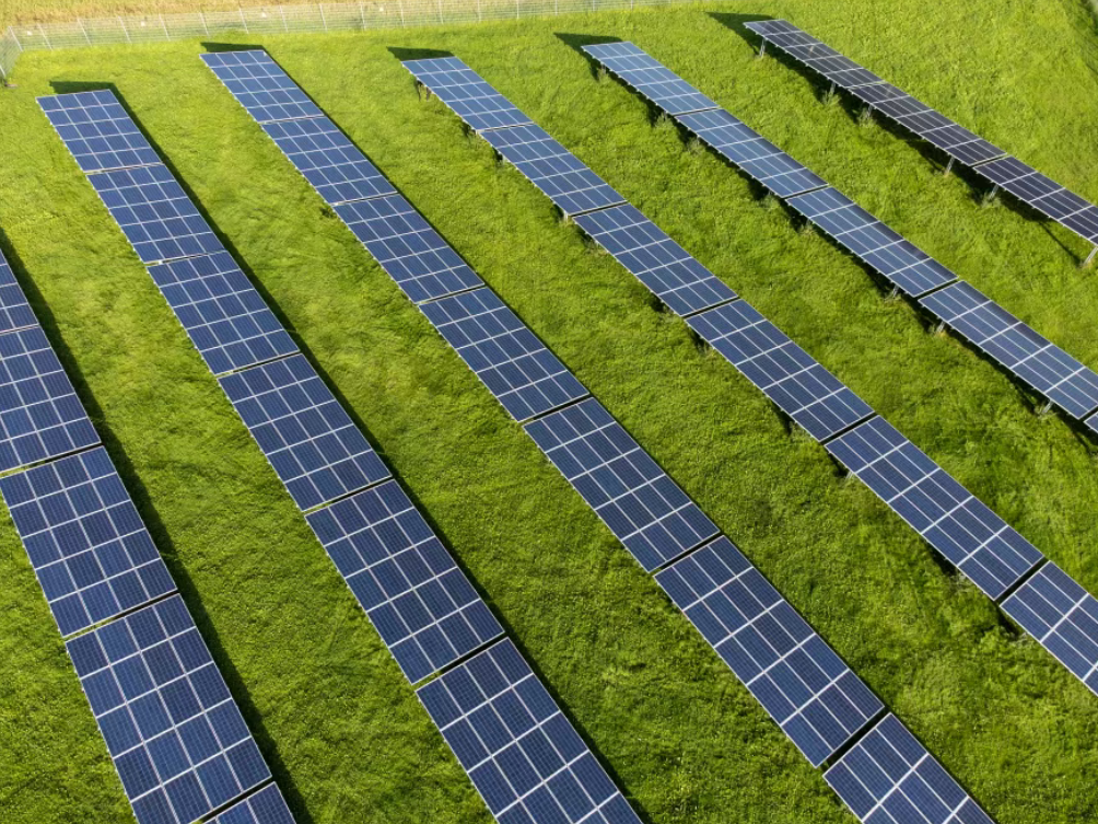 【世界農業案例】德國探索發展農業光伏