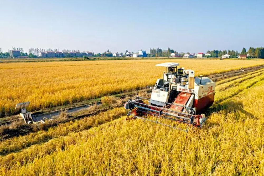 農業農村部：2025年中央財政強農惠農富農政策清單，建議收藏！