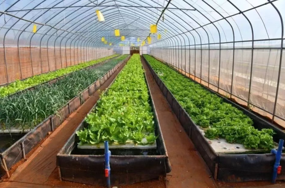 【政策解讀】農業農村部：持續推進生態循環農業產業發展