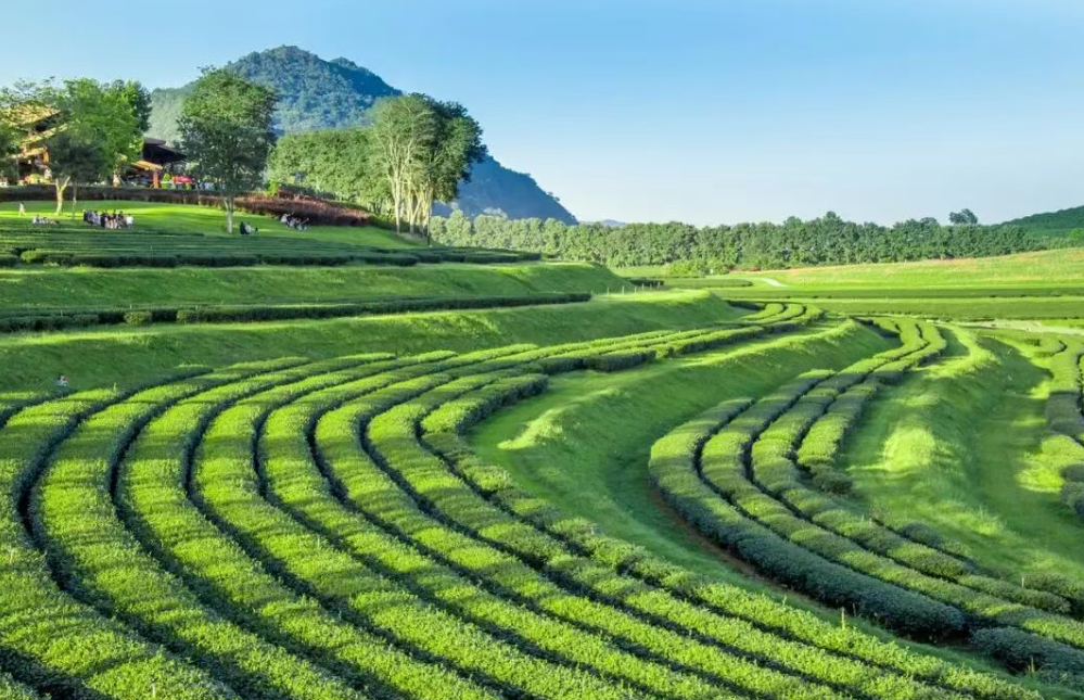 什么是生態農業？ “生態循環農業”經典模式有哪些