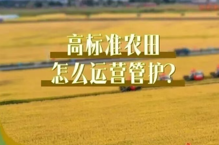 【高標準農田】一圖看懂｜高標準農田怎么運營管護？