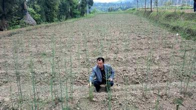 種植戶主導時代了，廠家和渠道商該如何應對？