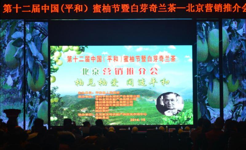 “柚見柚愛、閑適平和”福建平和柚茶營銷推介會在京舉行