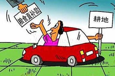 種糧都有哪些補貼？早知道，快申請!