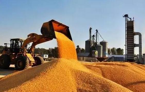 2017年玉米市場漲跌不定？如何把握價格走勢