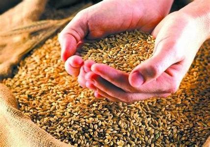 農業供給側結構性改革 糧食價改2017年將繼續推進